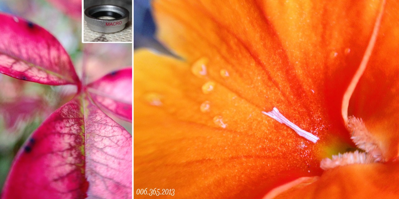 Iphone Macro