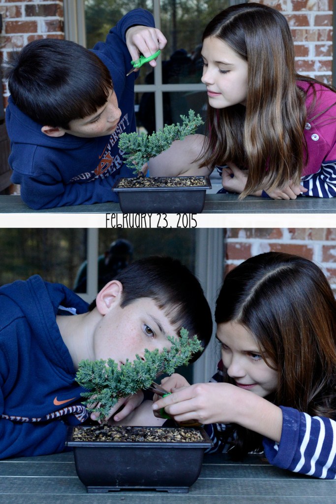 54_edited-1