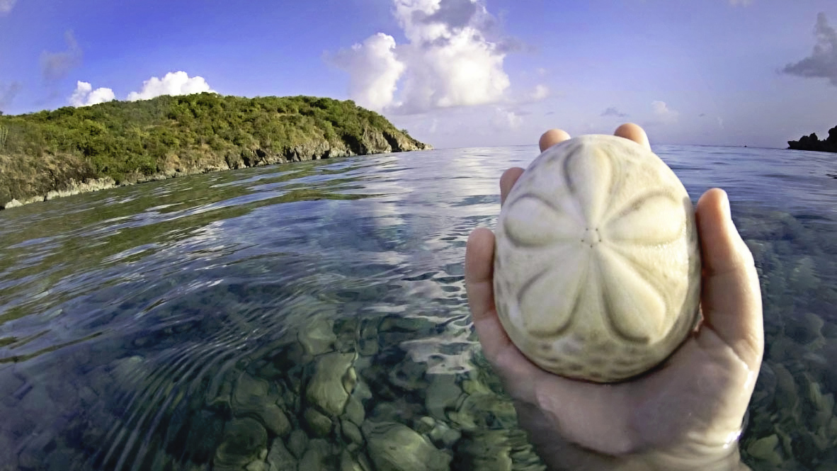 20160728-thumb_G0030075_1024-Edit_edited-1