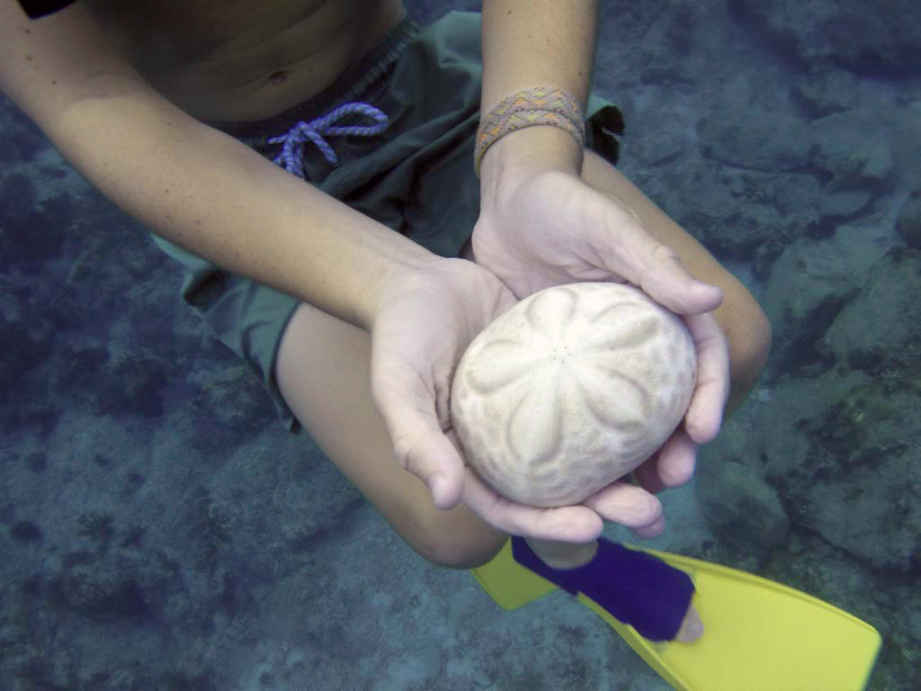 20160728-thumb_GOPR0028_1024-Edit_edited-1