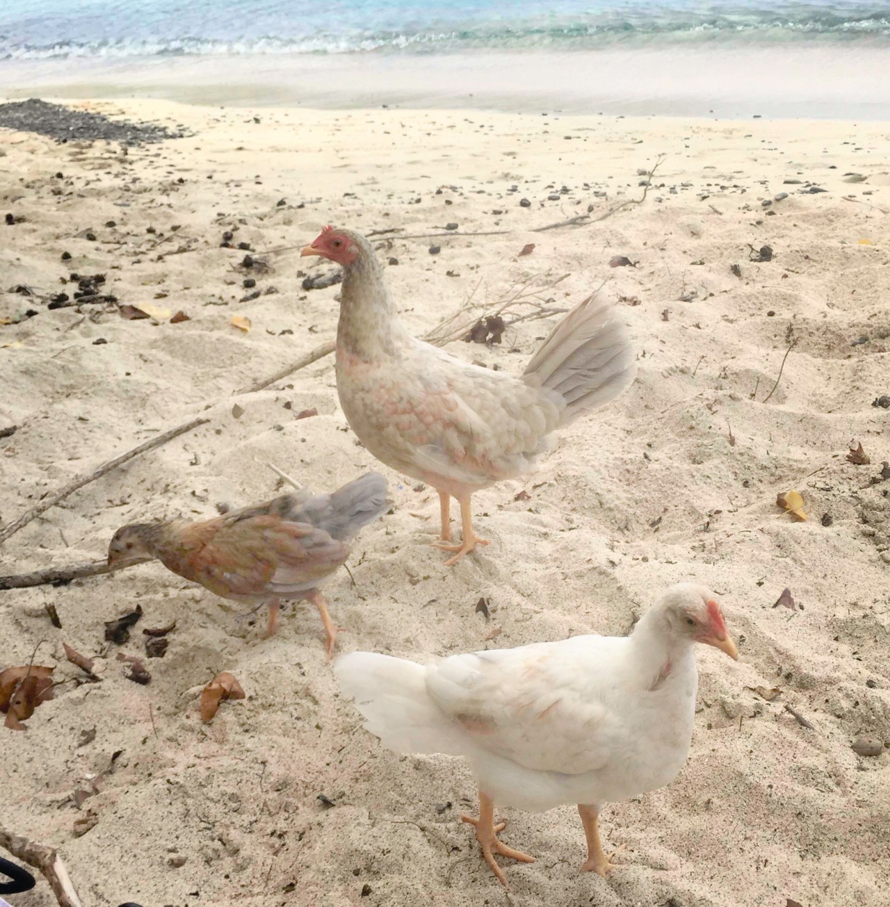 20160803-IMG_0329-Edit