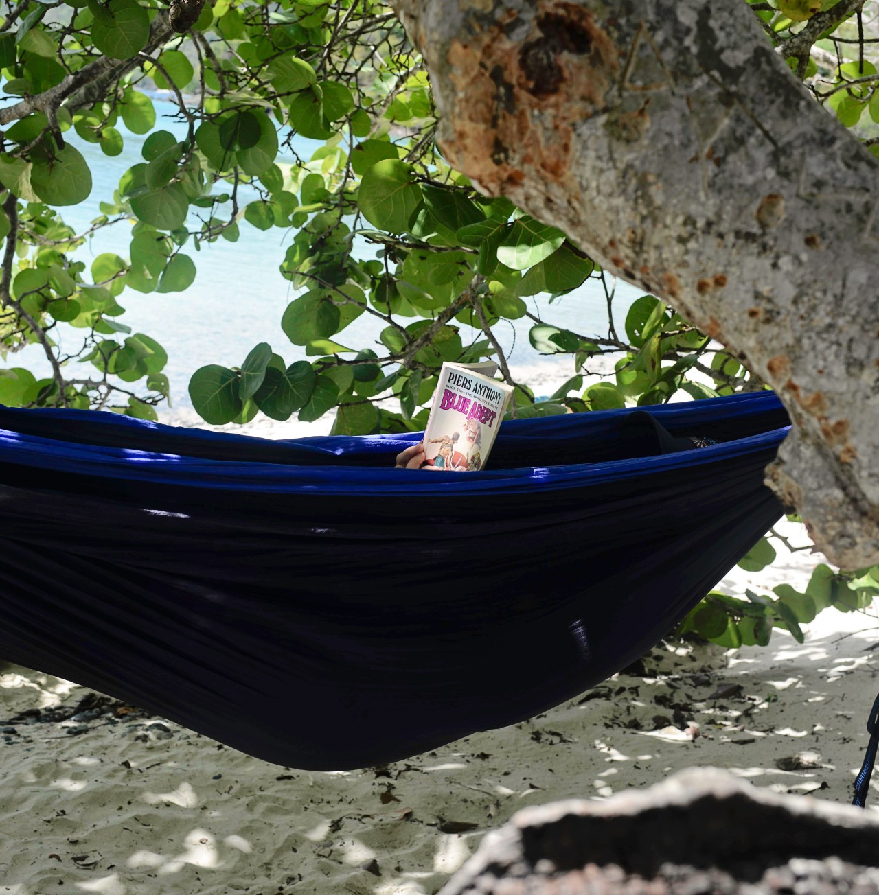 20160804-DSC_0775-Edit_edited-1