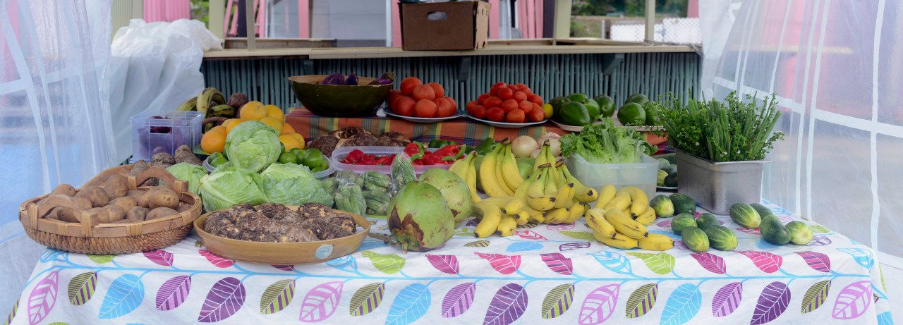 20160805-DSC_0877-Edit_edited-1