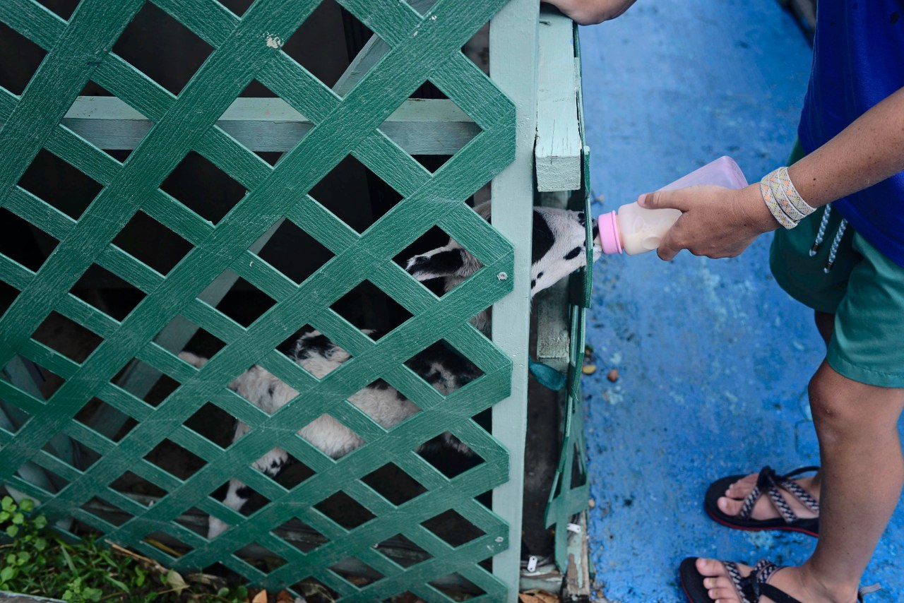 20160805-DSC_0878-Edit_edited-1