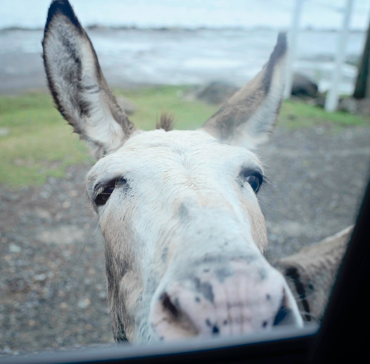 20160805-DSC_0998-Edit