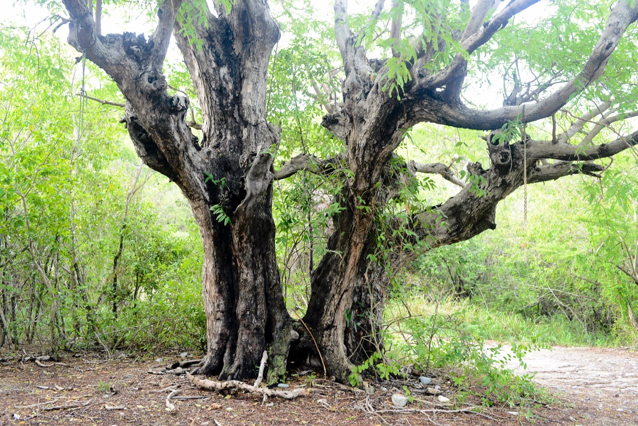 20160805-DSC_0999-Edit